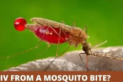 Can Mosquitoes Transmit HIV?