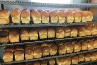 Loaves of bread on shelves