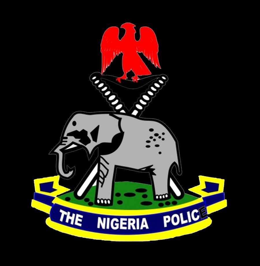 Man k!lls his brother's wife with pestle, injures 6-year-old girl in Jigawa 21 police 1745505898